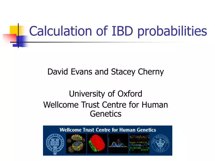 calculation of ibd probabilities