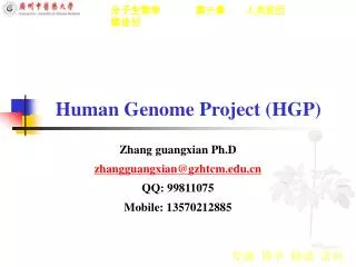 human genome project hgp