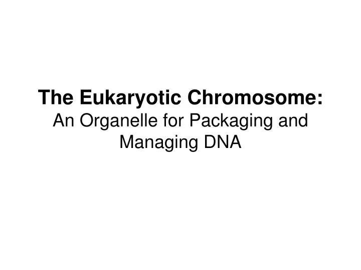 the eukaryotic chromosome an organelle for packaging and managing dna