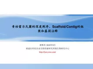 scaffold contig