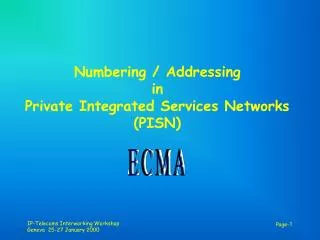 numbering addressing in private integrated services networks pisn