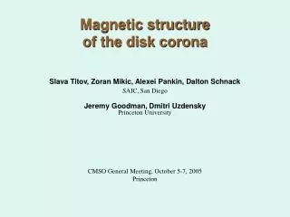 Magnetic structure of the disk corona