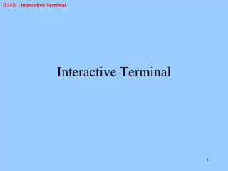 Interactive Terminal