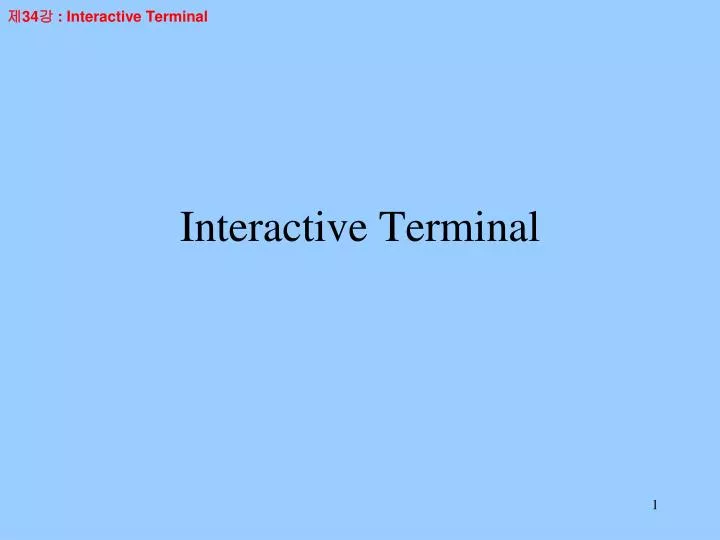 interactive terminal