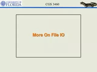 More On File IO