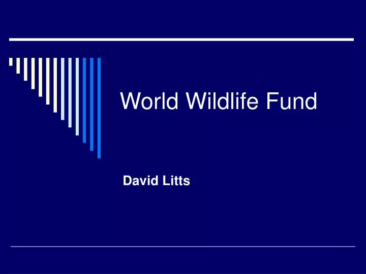 world wildlife fund