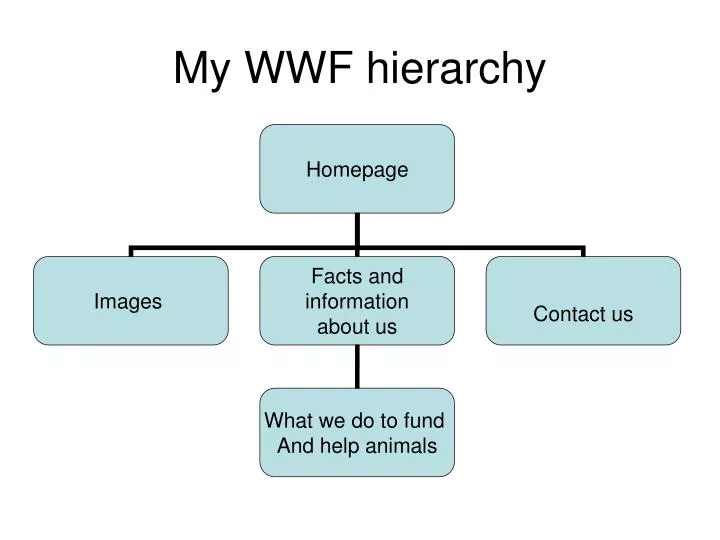 my wwf hierarchy