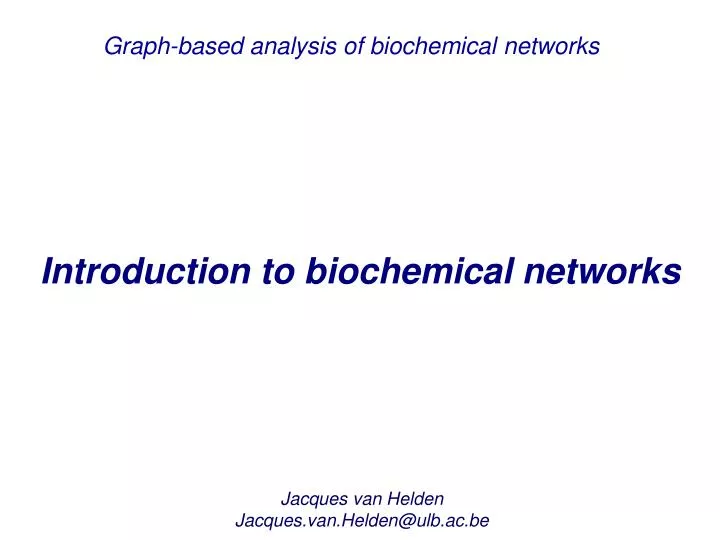 graph based analysis of biochemical networks