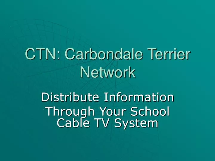 ctn carbondale terrier network