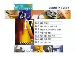 chapter 17