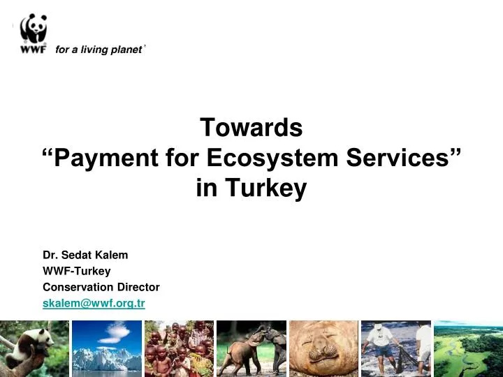 towards payment for ecosystem services in turkey