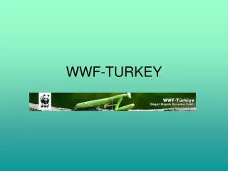 WWF-TURKEY