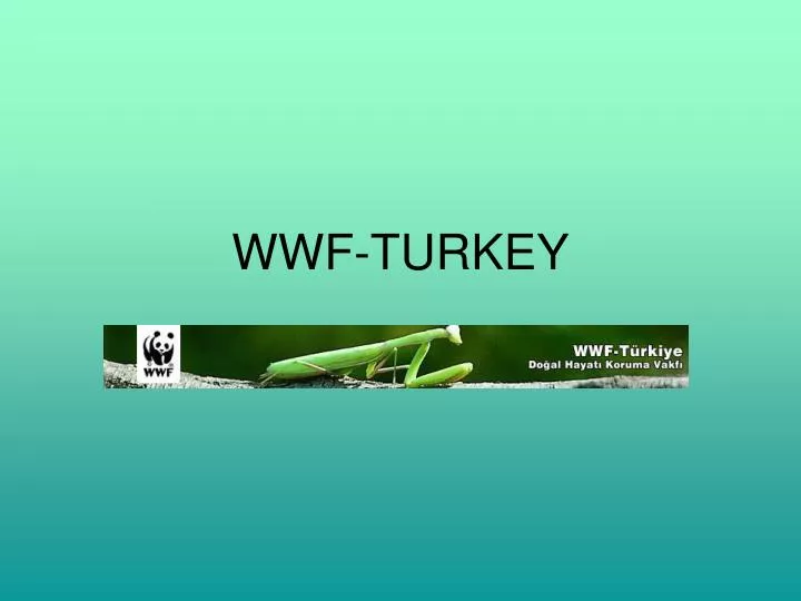 wwf turkey