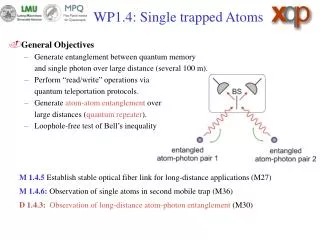 WP1.4: Single trapped Atoms