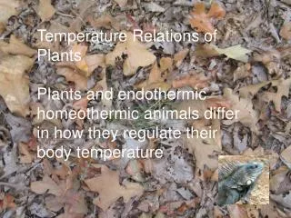 Temperature Relations of Plants