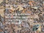 Temperature Relations of Plants - slide 1