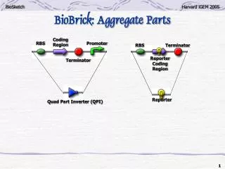BioBrick: Aggregate Parts