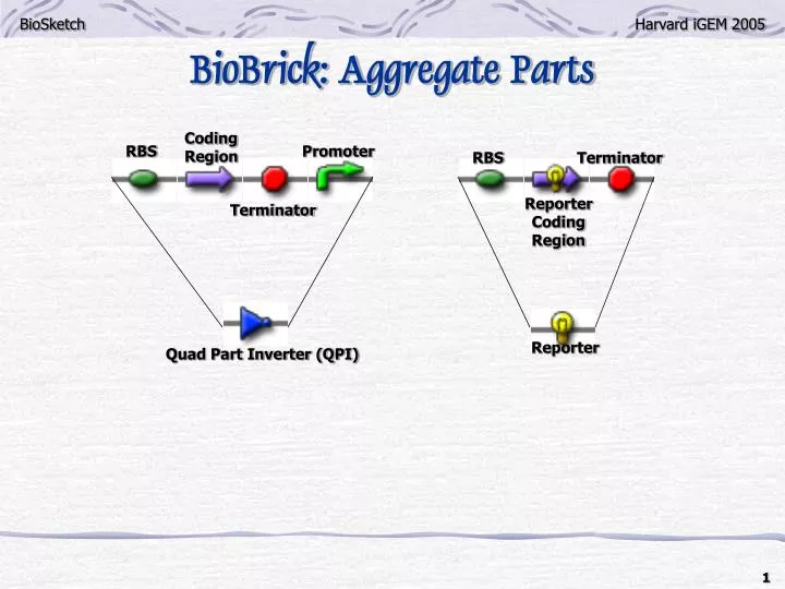biobrick aggregate parts