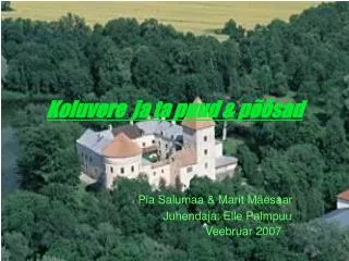 koluvere ja ta puud p sad