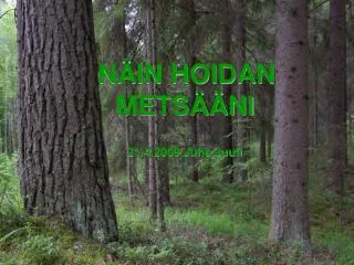 n in hoidan mets ni 21 4 2009 juha juuti