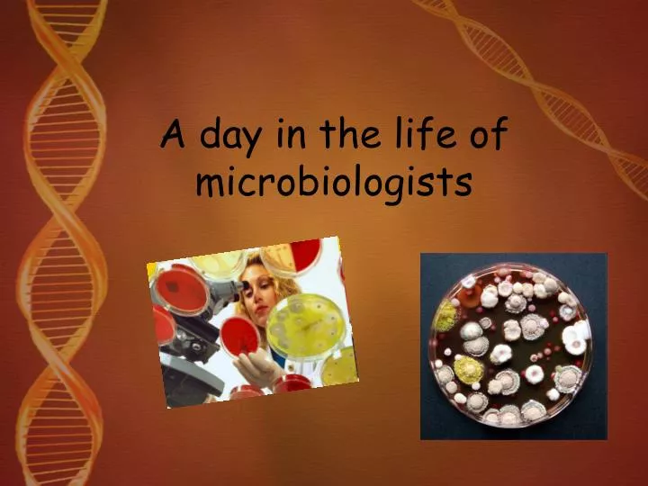 a day in the life of microbiologists