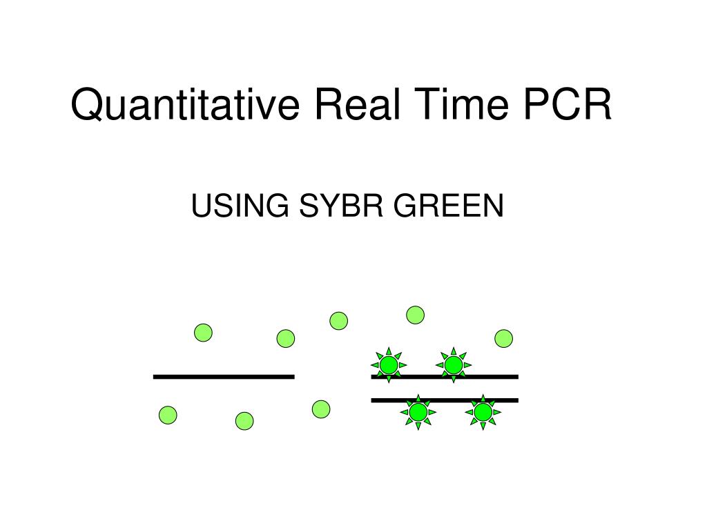 PPT - Quantitative Real Time PCR PowerPoint Presentation, free download ...