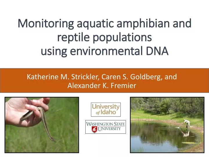 monitoring aquatic amphibian and reptile populations using environmental dna
