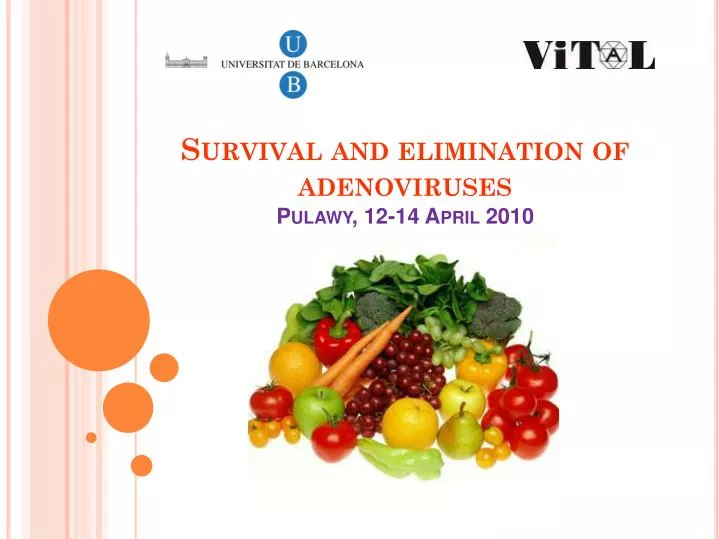 survival and elimination of adenoviruses pulawy 12 14 april 2010