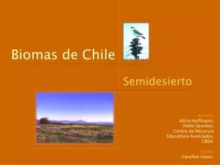 biomas de chile