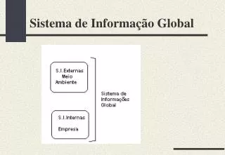 sistema de informa o global