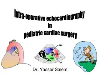 Dr. Yasser Salem