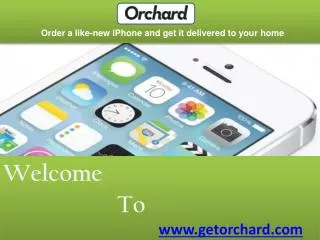 Orchard Iphone