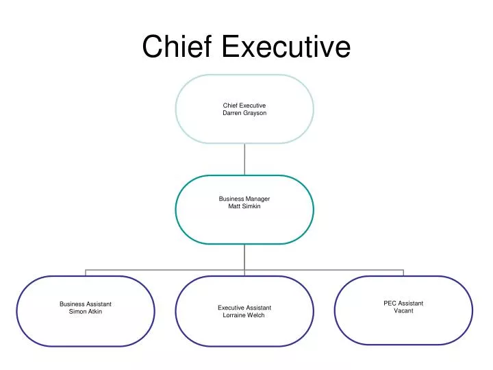 chief executive