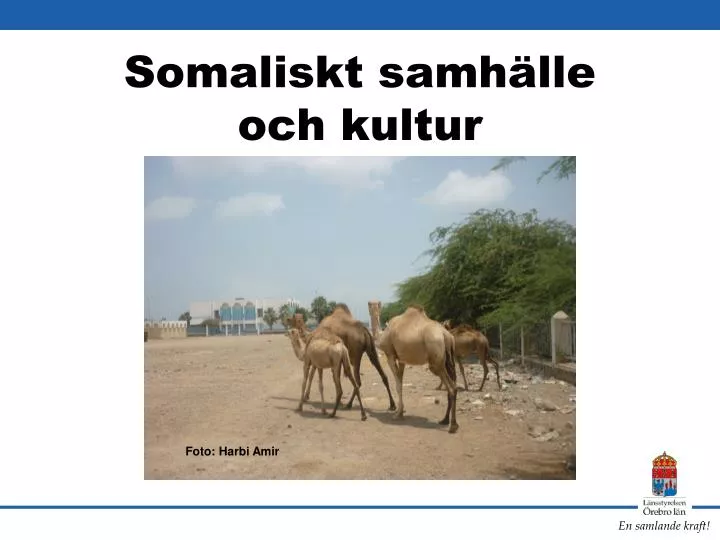 somaliskt samh lle och kultur