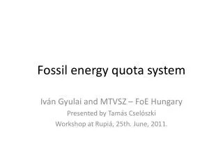 Fossil energy quota system