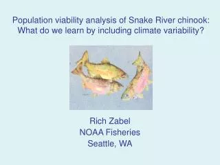 Rich Zabel NOAA Fisheries Seattle, WA