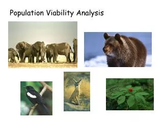 Population Viability Analysis