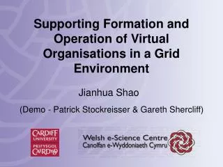 Supporting Formation and Operation of Virtual Organisations in a Grid Environment