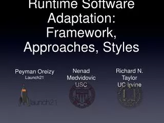 Runtime Software Adaptation: Framework, Approaches, Styles