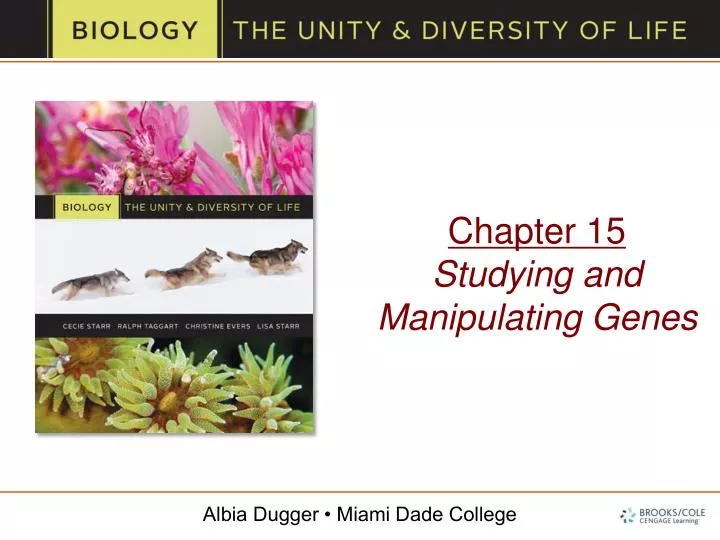 chapter 15 studying and manipulating genes