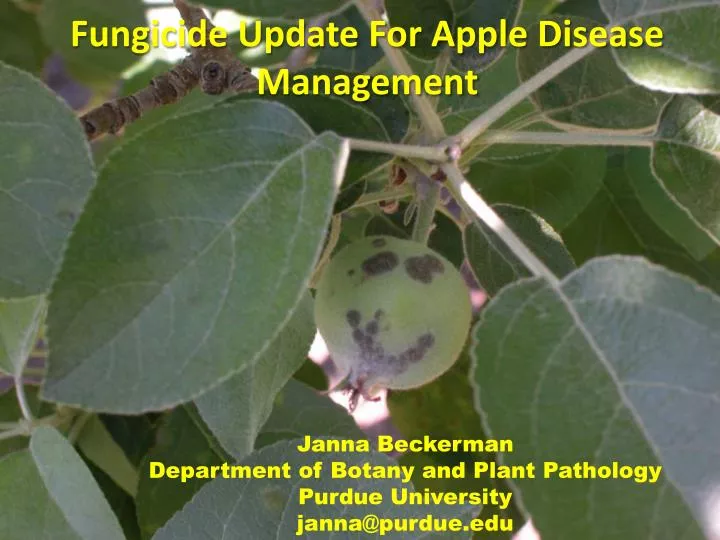 fungicide update for apple disease management