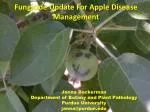 Fungicide Update For Apple Disease Management - slide 1