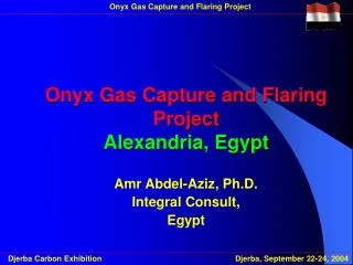 Onyx Gas Capture and Flaring Project Alexandria, Egypt