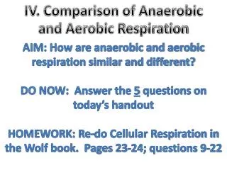 IV. Comparison of Anaerobic and Aerobic Respiration