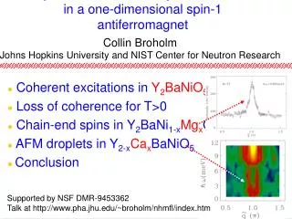 Impurities and finite temperature effects in a one-dimensional spin-1 antiferromagnet