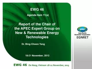 Report of the Chair of the APEC Expert Group on New &amp; Renewable Energy Technologies