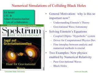 Numerical Simulations of Colliding Black Holes