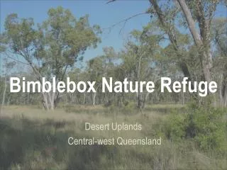 Bimblebox Nature Refuge