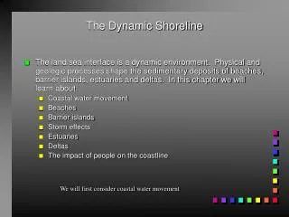 The Dynamic Shoreline