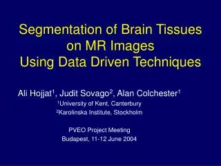 Segmentation of Brain Tissues on MR Images Using Data Driven Techniques